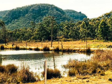 Collits Inn - Southport Accommodation 0
