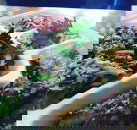 Steam  Cedar - Accommodation Southport