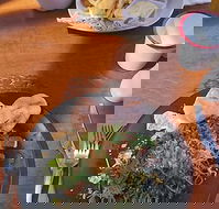 Painted Horse Cafe - Accommodation Southport