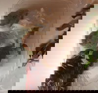 Dai Nam Cafe  Restaurant - Accommodation Southport