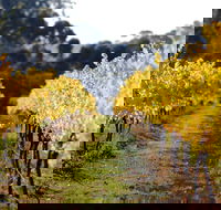 Prickly Moses Brewery - Southport Accommodation