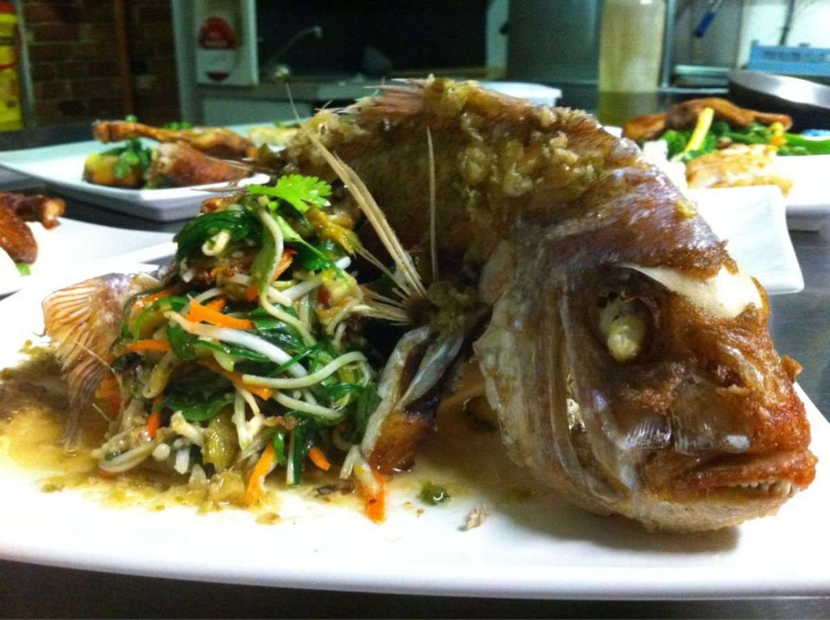 Traralgon VIC Southport Accommodation