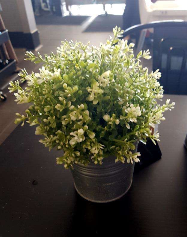 Hilbert WA Southport Accommodation