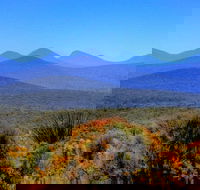 Arcadia Wines - Accommodation Southport