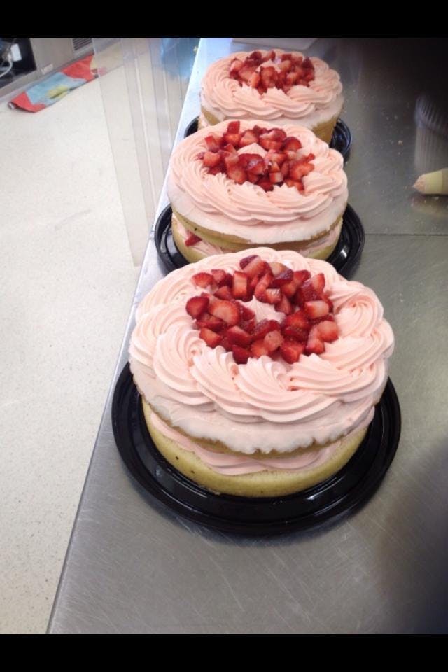 Bribie Island North QLD Accommodation Southport