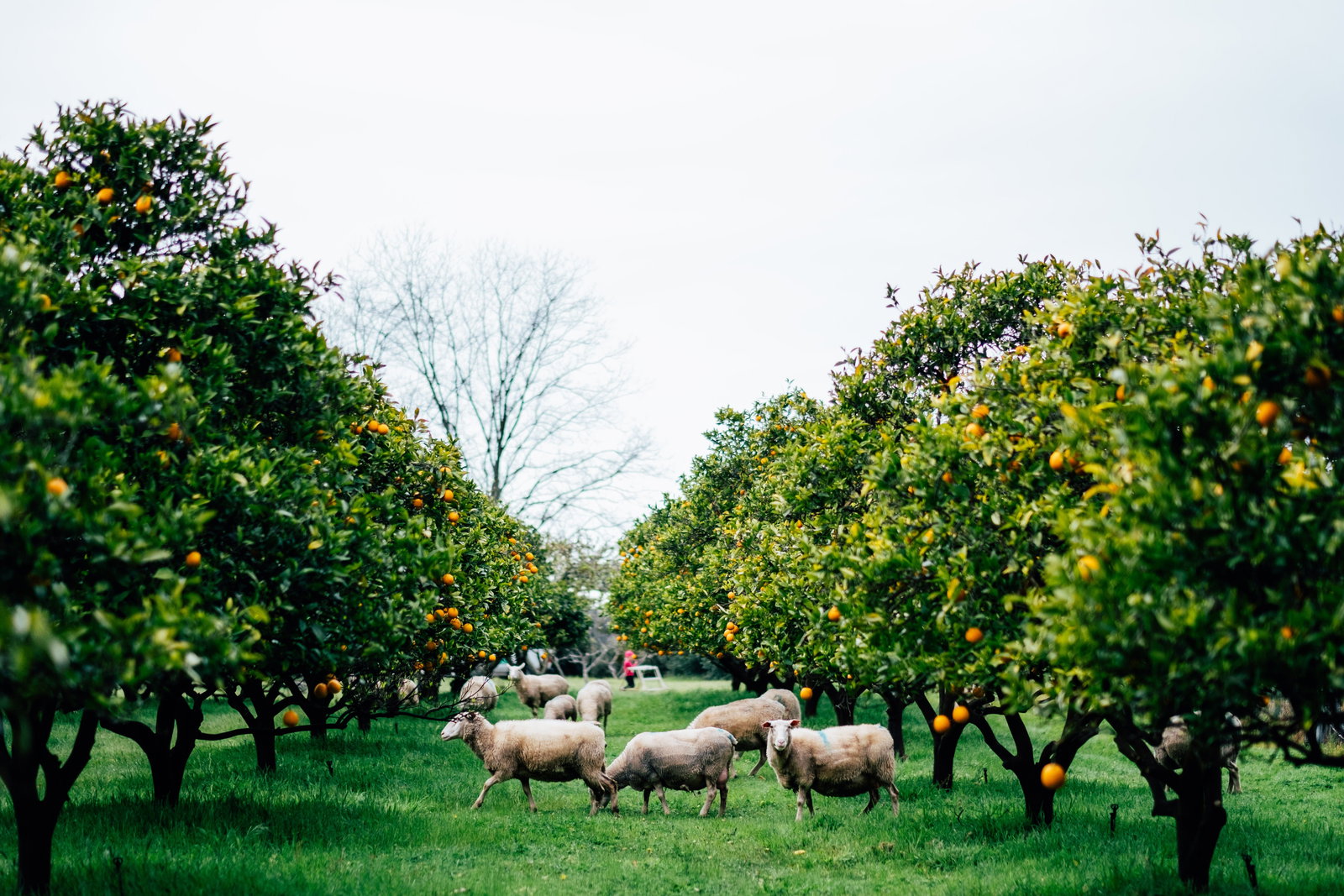 Barrabup WA Southport Accommodation