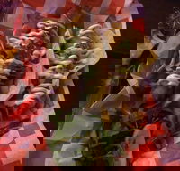 Cantina On Capri - Accommodation Southport