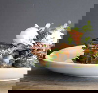 Daark Espresso Bar - Accommodation Southport