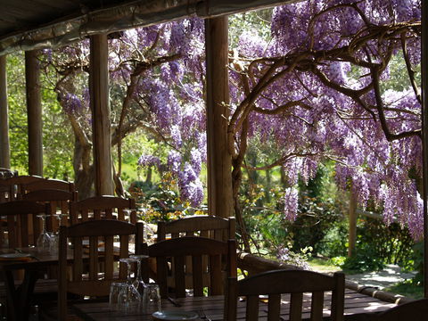 Skillogalee Winery & Restaurant - Southport Accommodation 2