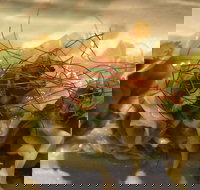 Tarana Indian Restaurant