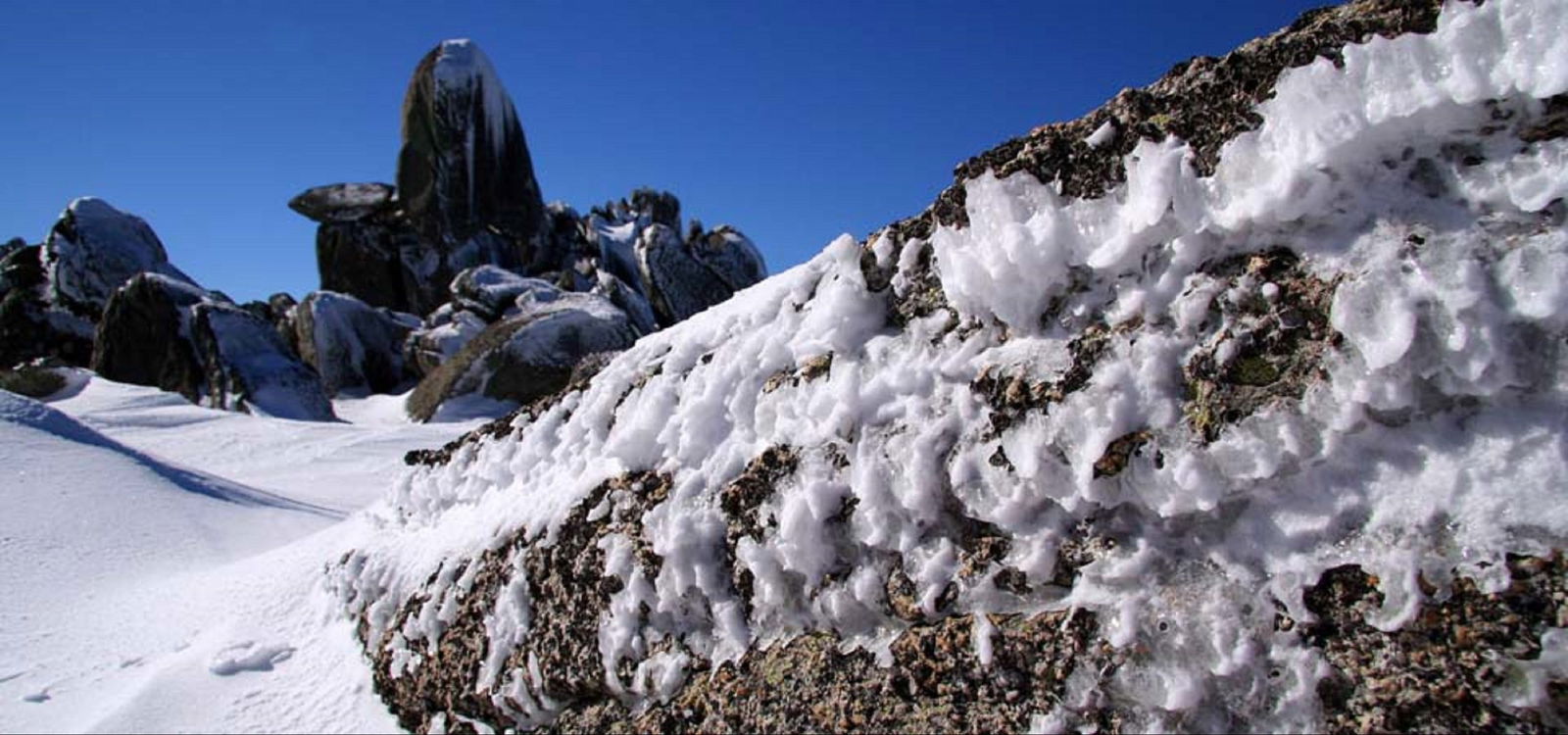Moonbah NSW Southport Accommodation