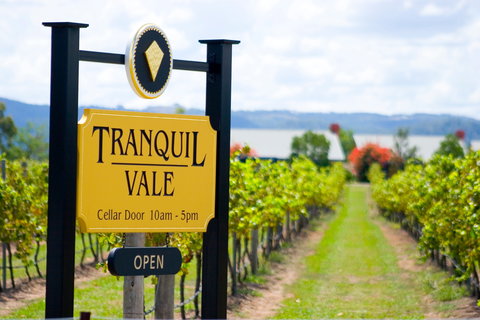 Tranquil Vale Vineyard - Accommodation Southport 0