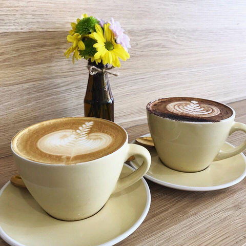 Big Tree House - St Marys - Southport Accommodation 0