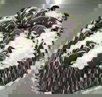 Caf Siciliadolce Pasticceria - Southport Accommodation