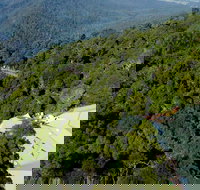 Canopy Cafe - Southport Accommodation