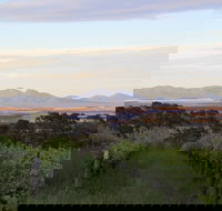 Castle Rock Estate Winery