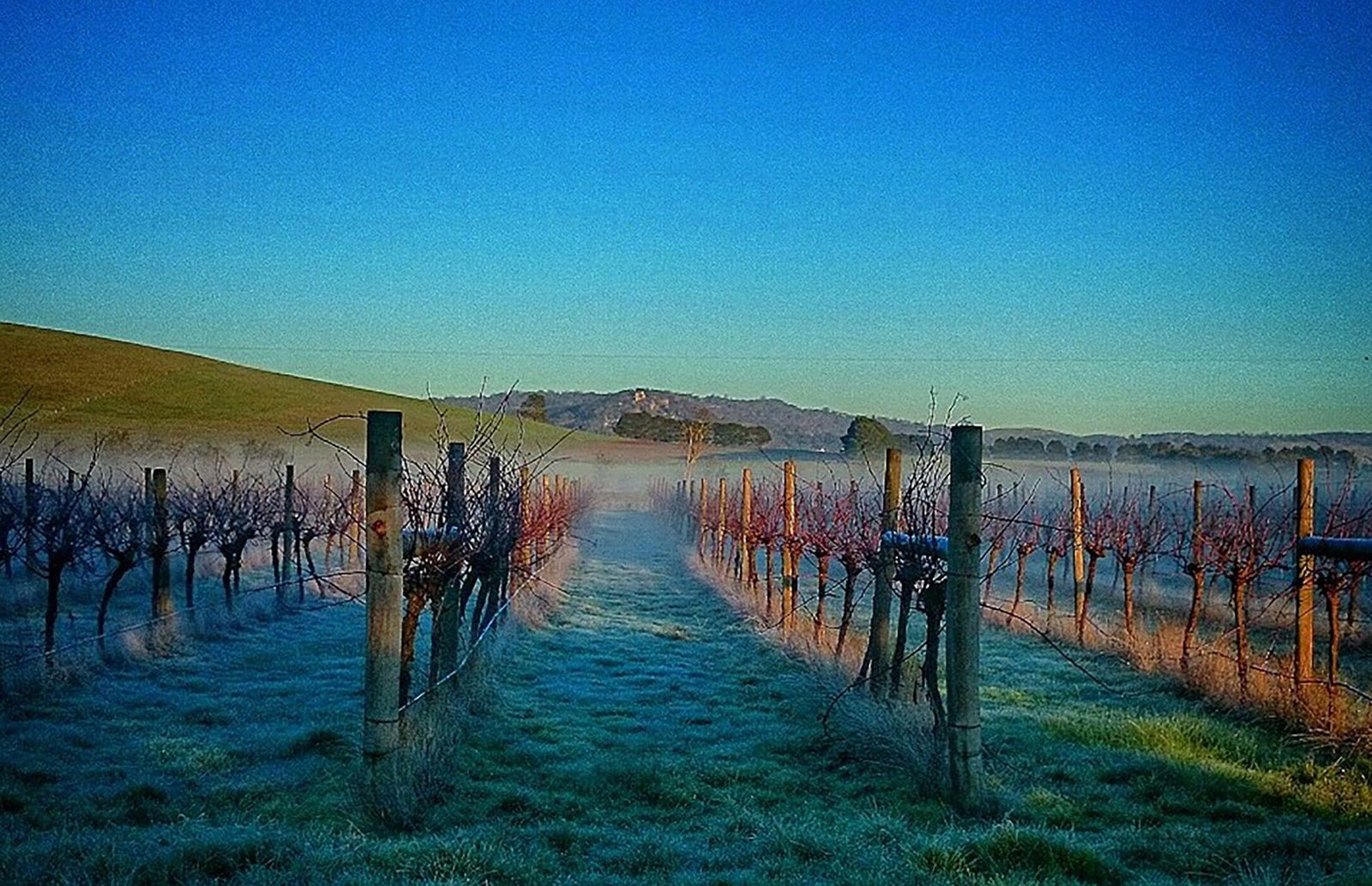 Allendale VIC Southport Accommodation