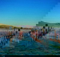 Eastern Peake Winery - Southport Accommodation