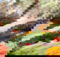 Hanson Bay Wildlife Sanctuary Cafe - Accommodation Southport