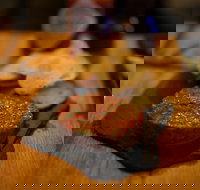 Hell of the North - Accommodation Southport