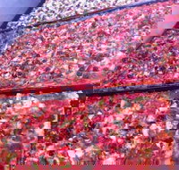 Pizza and Kebab on Bell - Southport Accommodation