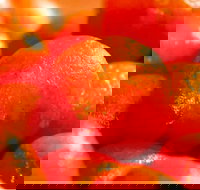 Punjab Indian Sweets and Restaurant - Mount Druitt - Southport Accommodation