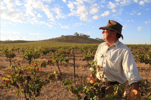 Sally's Paddock At Redbank Winery - Southport Accommodation 2