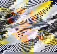 Food Business  Chapel Hill - Accommodation Southport