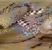 PN's Daily Scoop - Southport Accommodation