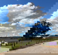 Short Sheep Micro-Winery - Accommodation Southport