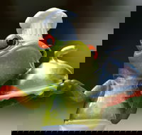 The Lillipad Cafe - Accommodation Southport