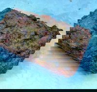 Workshop Espresso - Accommodation Southport