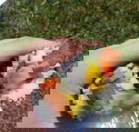 Yuri Sushi - Accommodation Southport