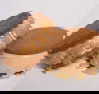 Gelato Messina - South Brisbane - Accommodation Southport