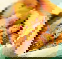 Mrs. Fields - Highpoint - Maribyrnong - Southport Accommodation