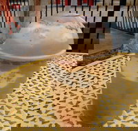 Jasmine Greens Park Kiosk - Accommodation Southport