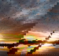 Old Lodge Gallery Emporium and River Cafe - Accommodation Southport