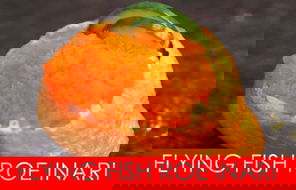 Ryde Restaurants and Takeaway Accommodation Southport Accommodation Southport