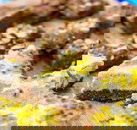 Charlie's Raw Squeeze - Greenslopes - Accommodation Southport