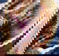 Haci's Kebabs Food Truck - Southport Accommodation