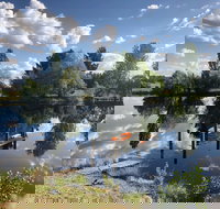 Hillbrook Hygge Cafe - Accommodation Southport