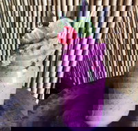 Jungle - Accommodation Southport