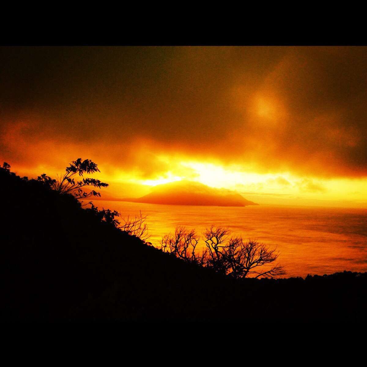 Blackbull ACT Southport Accommodation