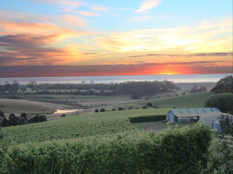 Cape Bernier Vineyard - Southport Accommodation 0