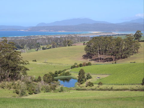Cape Bernier Vineyard - Southport Accommodation 1
