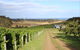 Cape Bernier Vineyard - thumb 2