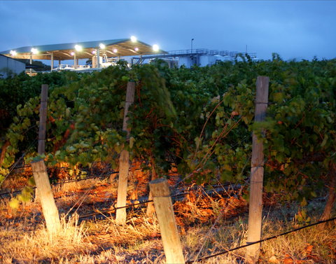 Haselgrove Wines - Accommodation Southport 0