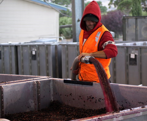 Haselgrove Wines - Accommodation Southport 2