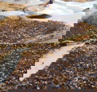 Yum Yum Bakery - Southport Accommodation