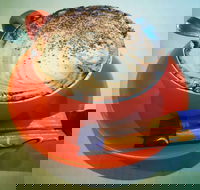 Arthur Radley - Accommodation Southport